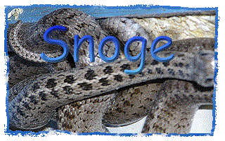 Snoge banner