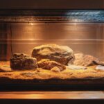 Sådan bruges varmekabel til terrarie sikkert & effektivt varmekabel