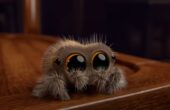 Verdens sødeste edderkop: Lucas the Spider