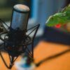Reptilia.dk og Podcasten “Kærlighed til Kæledyr”