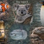 Dyr med K - 10 fascinerende dyr der starter med bogstavet K dyr der starter med K
