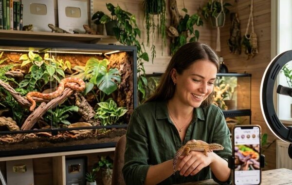 Reptil-influencers